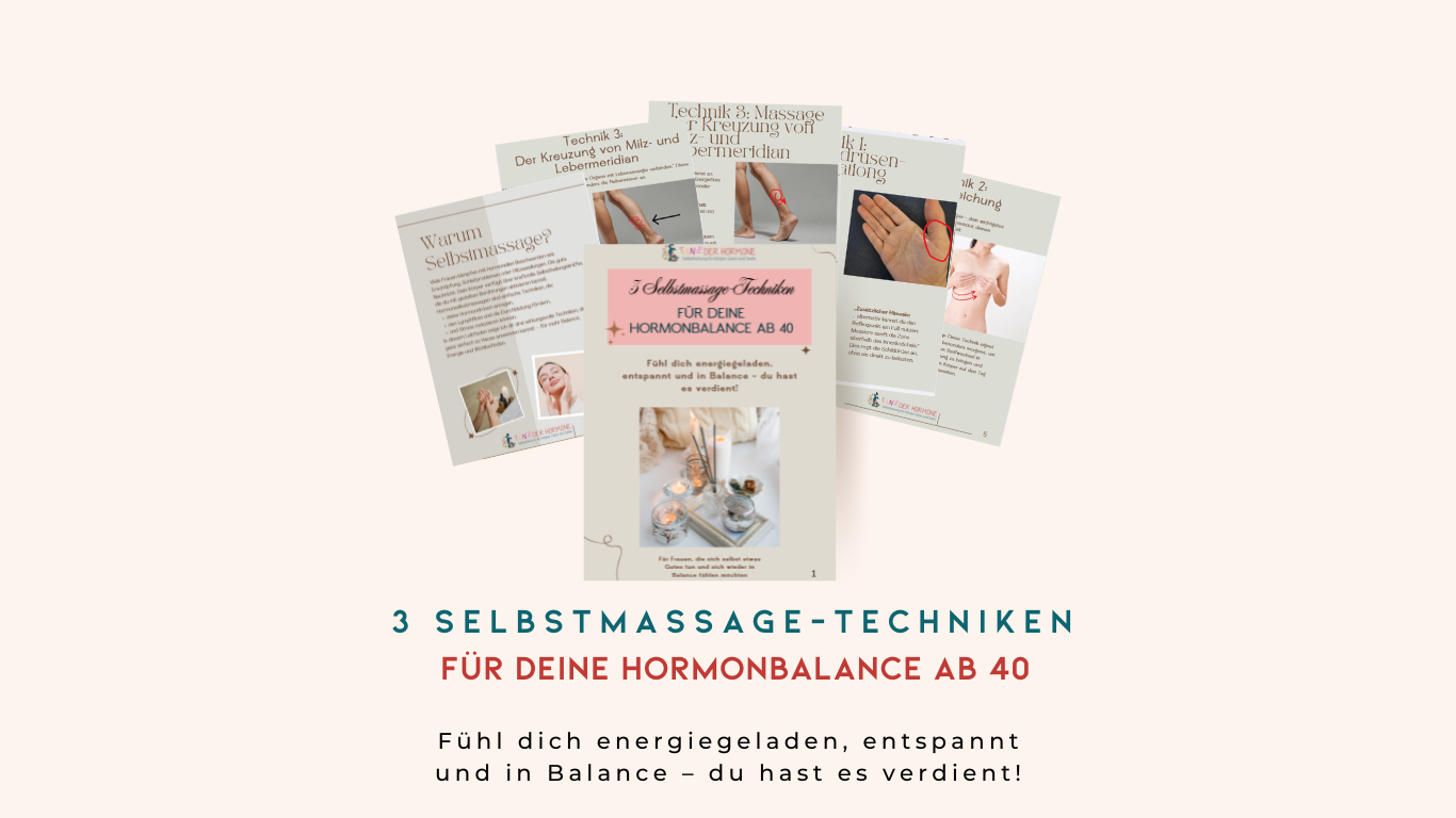 Onlinekurs Struktur Lead Magnet Mockup